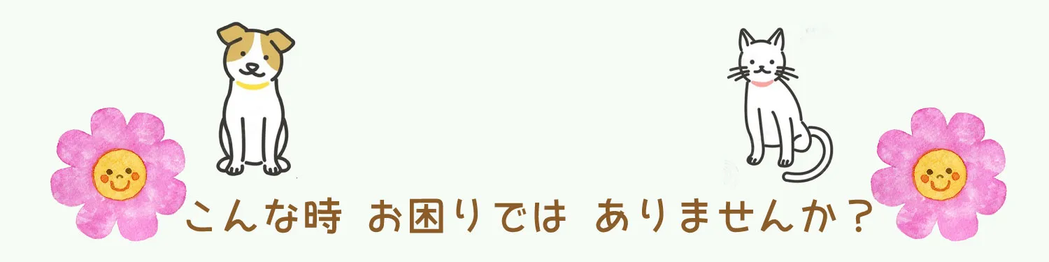 ペットタクシー 札幌 犬 猫